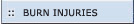 BURN INJURIES - Madeline Lee Bryer, P.C.  Attorneys at Law Victim Rights